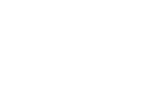 PoliMi Logo White