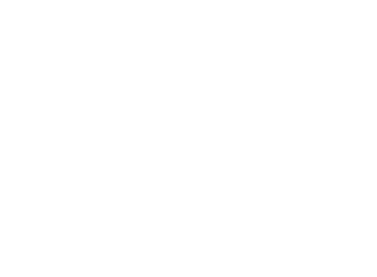 PoliMi Logo White